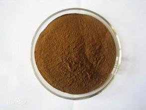phyllanthus emblica extract