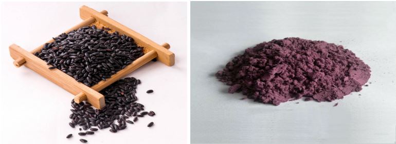 organic black rice protein