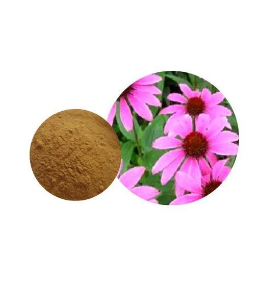 Estratt ta 'Coneflower