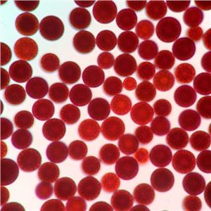 trab astaxanthin