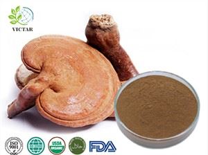 Trab tal-Estratt tal-Faqqiegħ Reishi Organiku